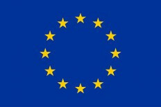EU scheme for young professionals in Bosnia and Herzegovina 